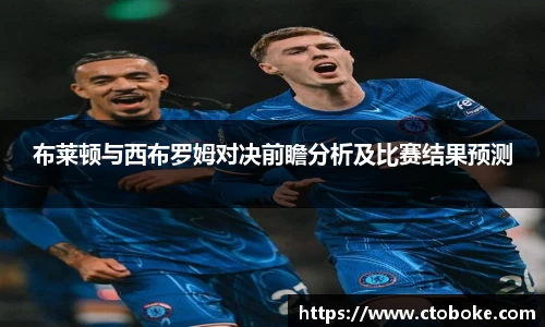 布莱顿与西布罗姆对决前瞻分析及比赛结果预测